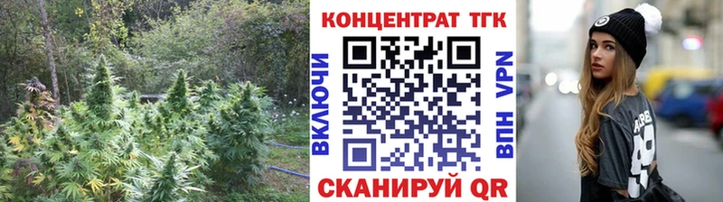 блэк спрут как войти  Шадринск  ТГК вейп с тгк  продажа наркотиков 