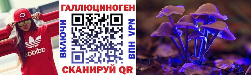 Псилоцибиновые грибы мицелий  Шадринск 